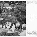 עזרה הדדית — Helping each other. דקל, אפרים. בנתיב היסורים למולדת